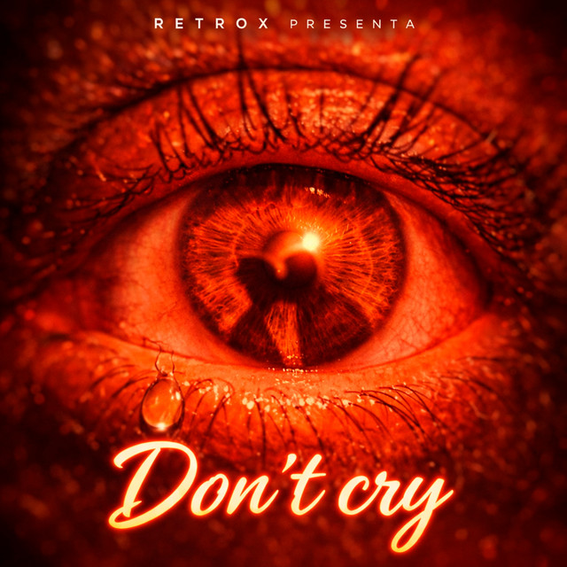Don't cry cover art