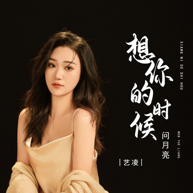 想你的时候问月亮 - DJ版