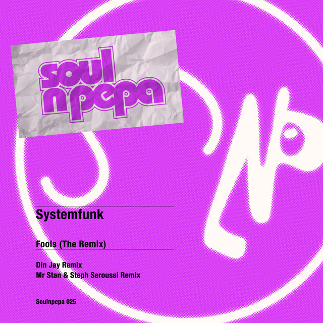 Fools - Mr.Stan & Steph Seroussi Radio Remix cover art