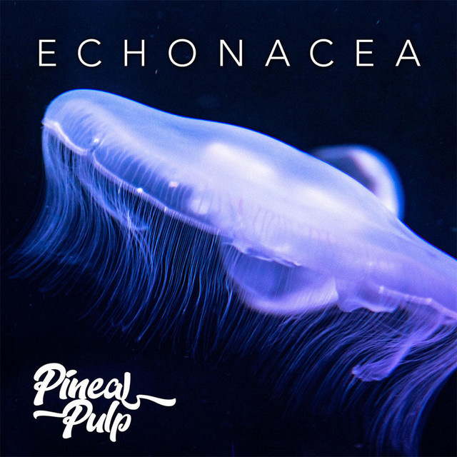 Echonacea cover art