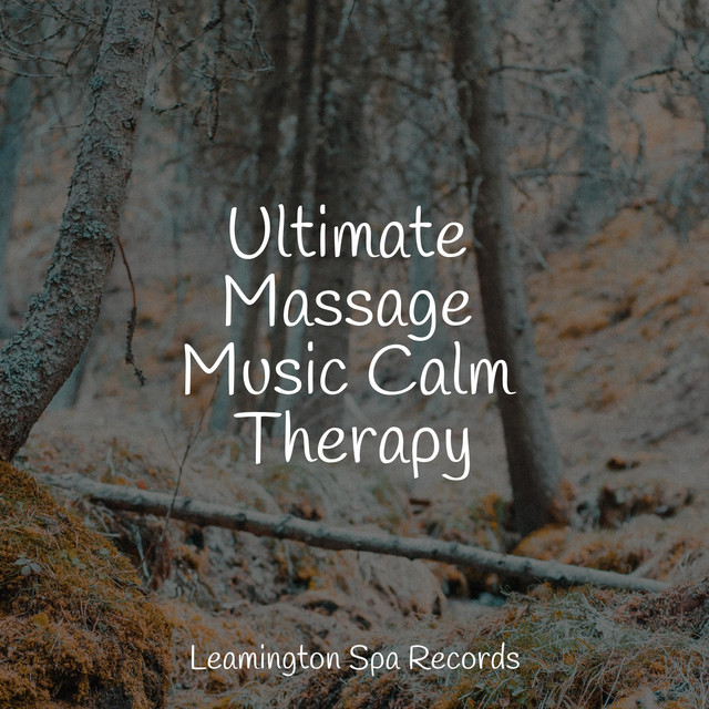 Ultimate Massage Music Calm Therapy - Album by Natural Sounds | Spotify