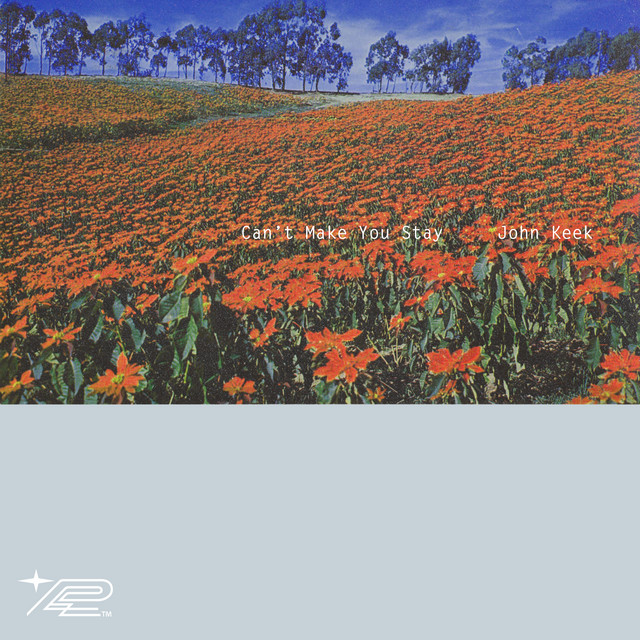 Can't Make You Stay cover art