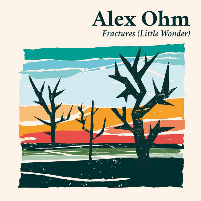 Fractures (Little Wonder) cover