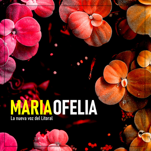 La nueva voz del Litoral cover art