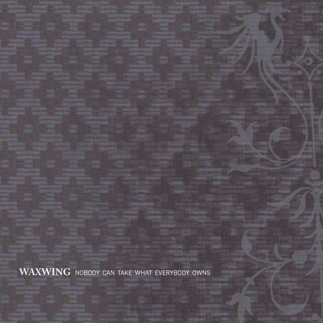 Nobody Can Take What Everybody Owns cover art