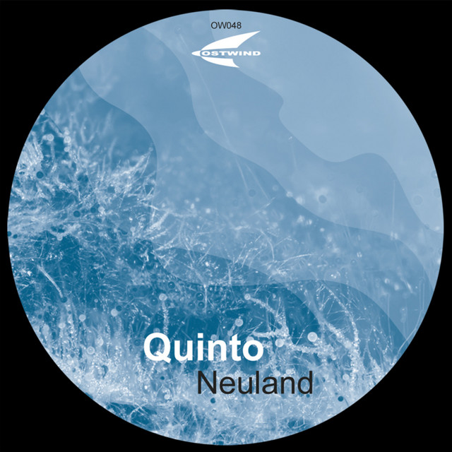 Quinto