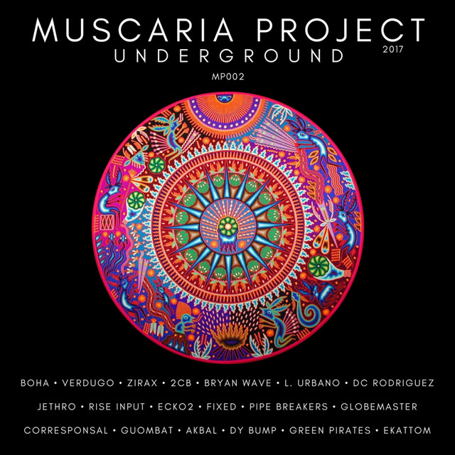 Muscaria Project Underground 2017 cover art