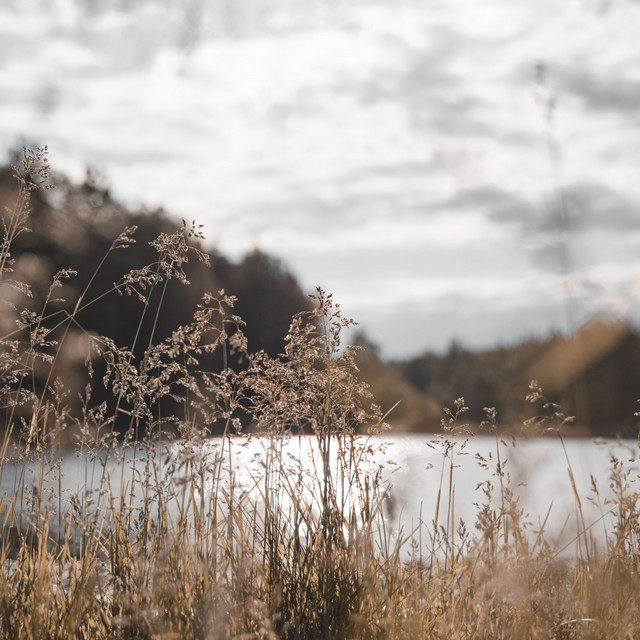 Comforting Music for Stress Relief cover art
