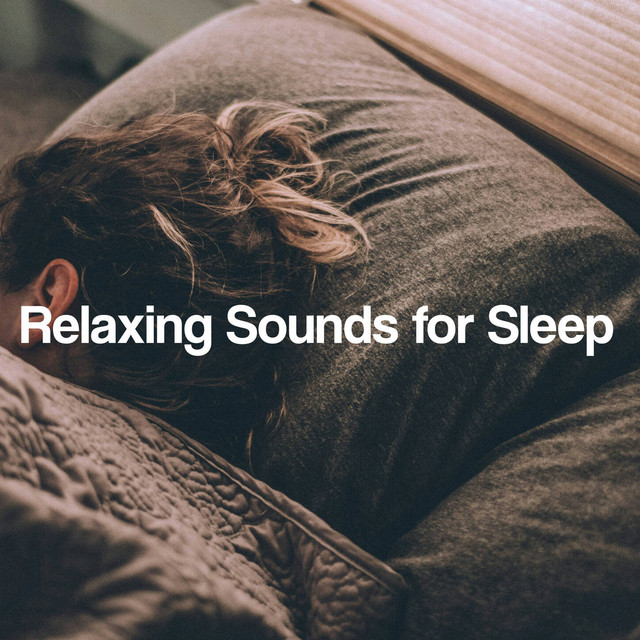 Relaxing Study Music Playlists