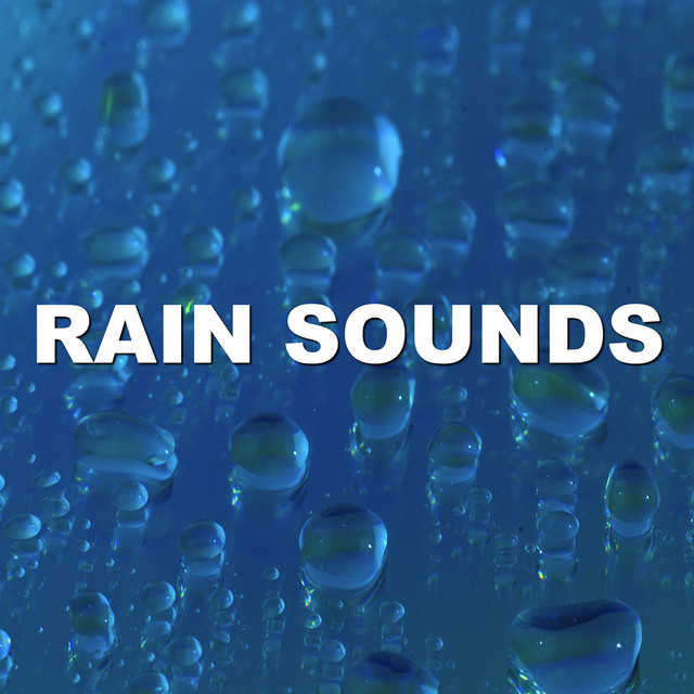 Tranquil Eventide Rain Storm Recording