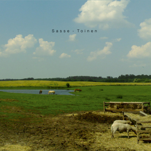 Toinen cover art