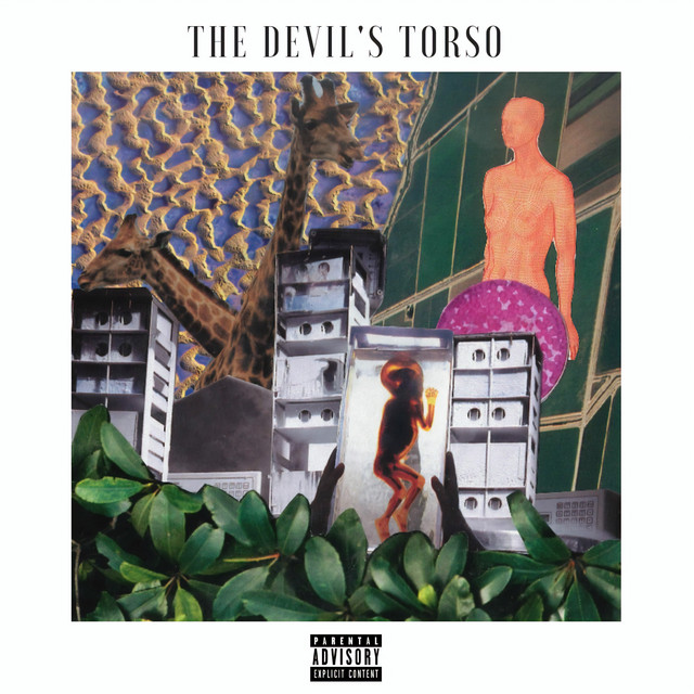THE DEVIL'S TORSO cover art