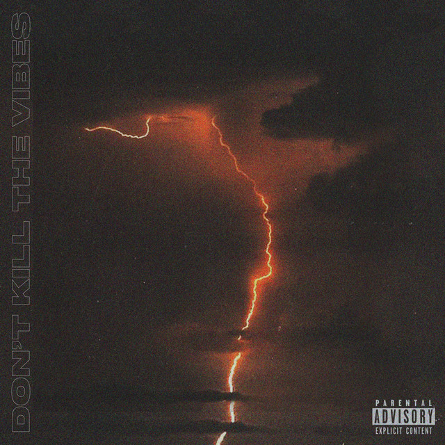 Don't Kill the Vibes cover art