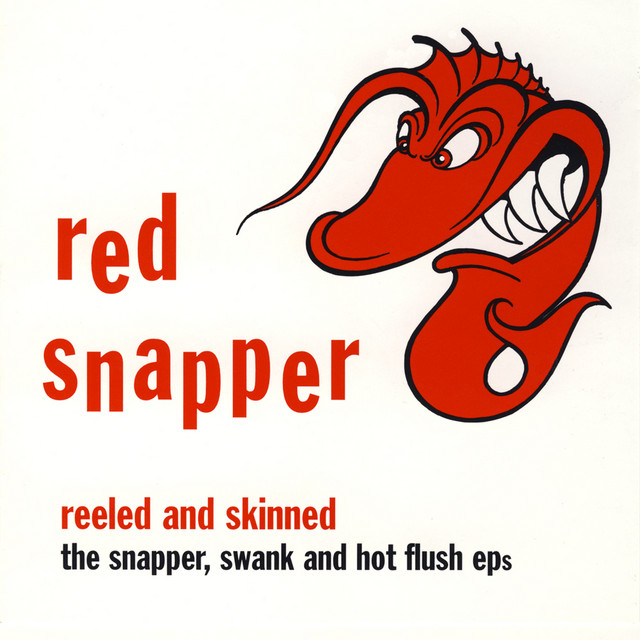 IS AIM OUR TO SATISFY レコード SNAPPER RED