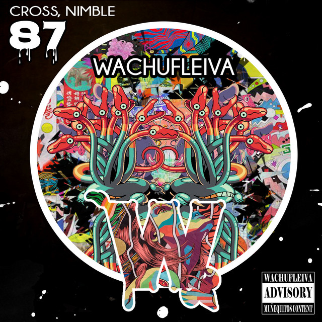 Wachufleiva 87 cover art