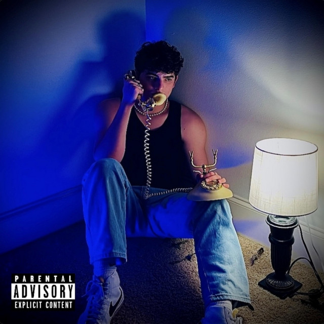 Lessons I Don't Learn cover art