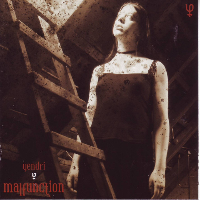 Malfunction cover art
