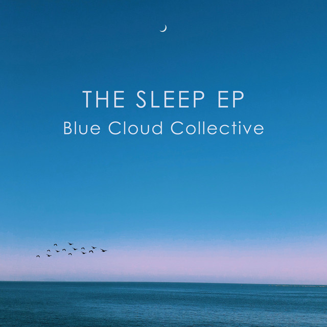 The Sleep cover art