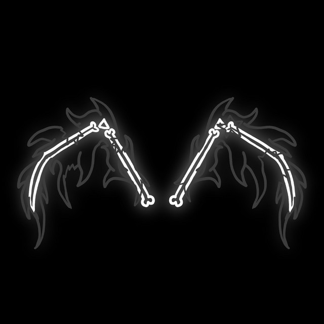 BROKEN WINGS