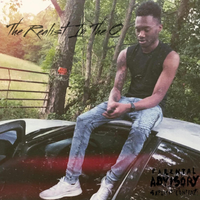 The Realist In The O cover art