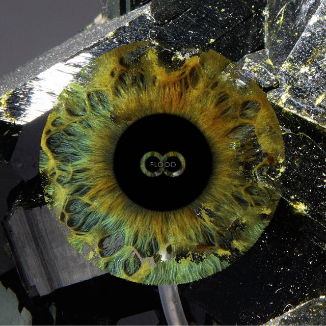 Flood cover art