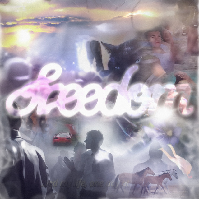 Pochette du titre freedom