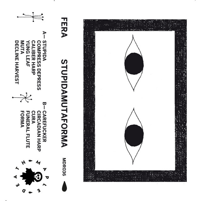 Stupidamutaforma cover art