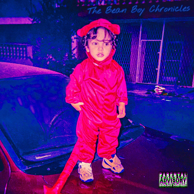 The Bean Boy Chronicles cover art