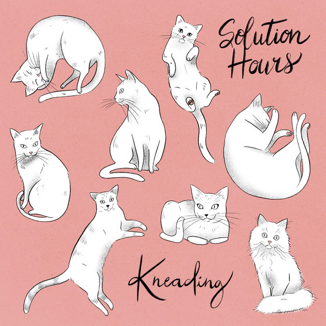 Kneading cover