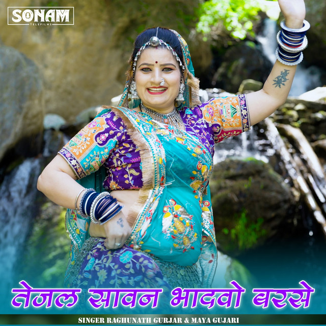 Tejal Sawan Bhadvo Barse album image