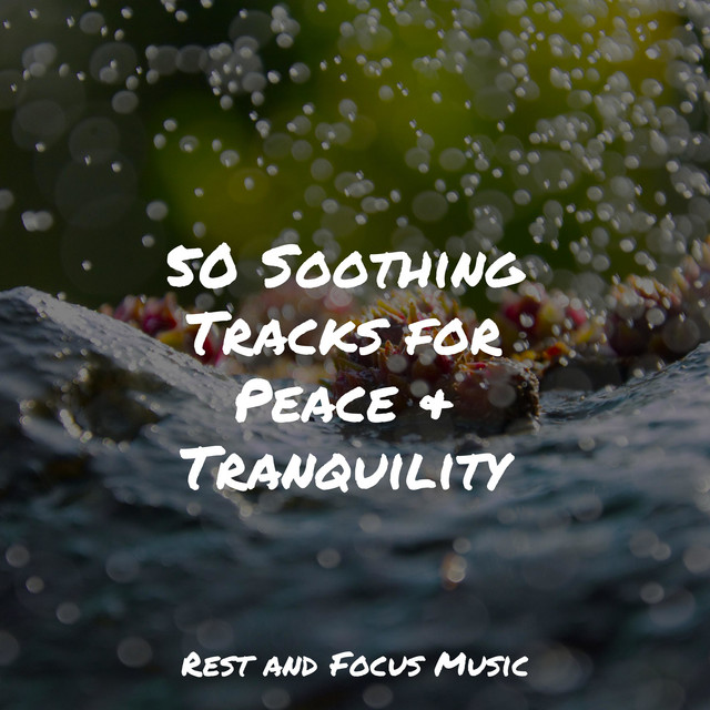50 Soothing Tracks for Peace & Tranquility - Album by Spa | Spotify