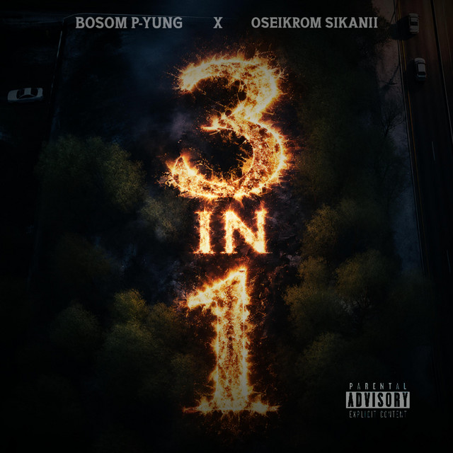 3 in 1 album image