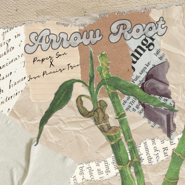 Arrow Root