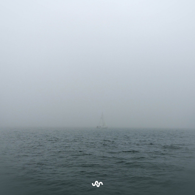 Into the Mist
