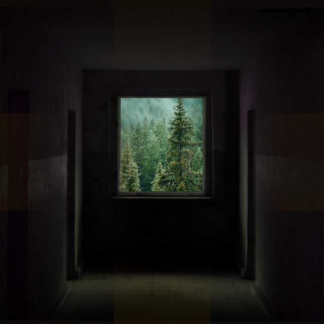 Frames cover art