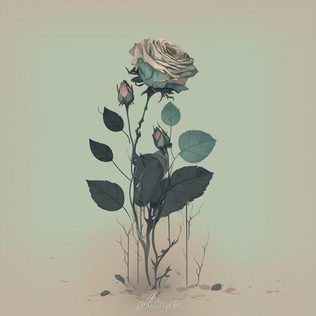 Shine cover art