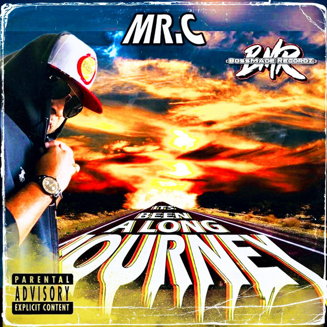 It's Been A Long Journey cover art