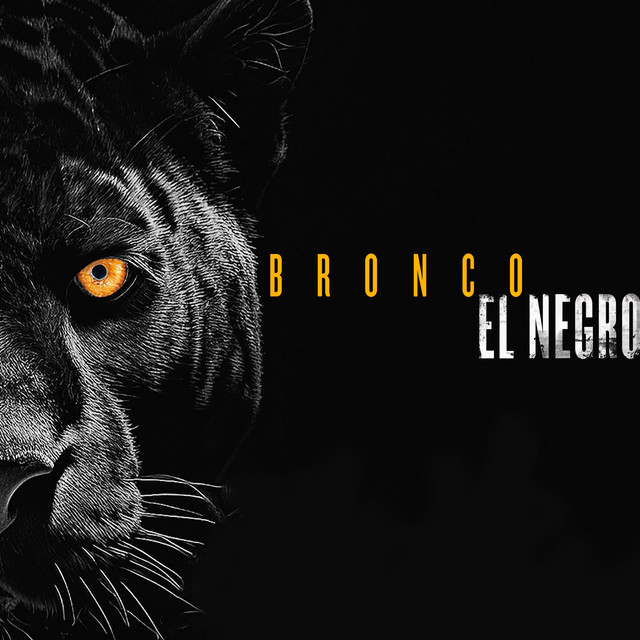 Bronco cover art