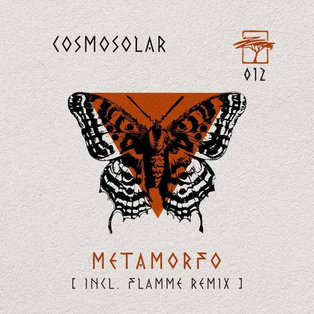Metamorfo album art