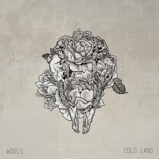 Cold Land cover art