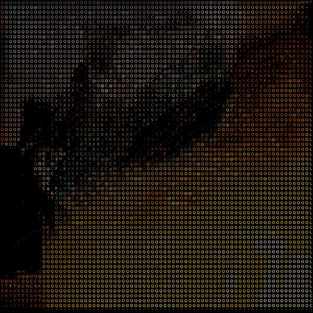 Unused Assets: The Collection cover art