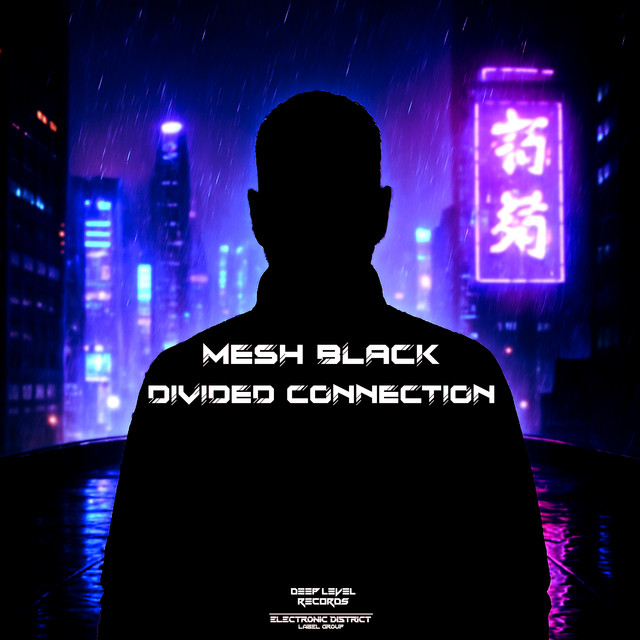 Divided Connection cover art