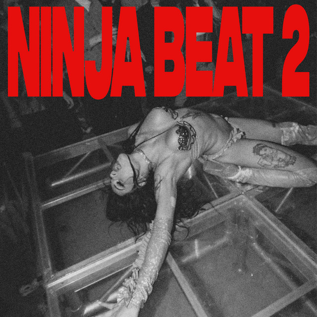 Ninja Beat 2 cover art