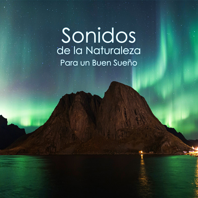 Sonidos de la Naturaleza Para un Buen Sueño: Pájaros Melodía, Gotas de Agua, Relajación de la Naturaleza cover art