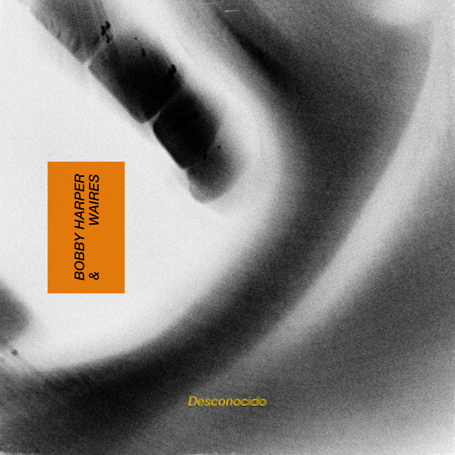 Desconocido cover art
