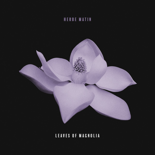 Leaves of Magnolia cover