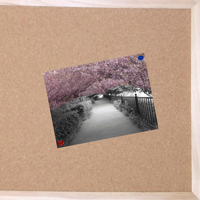 graduation song cover art