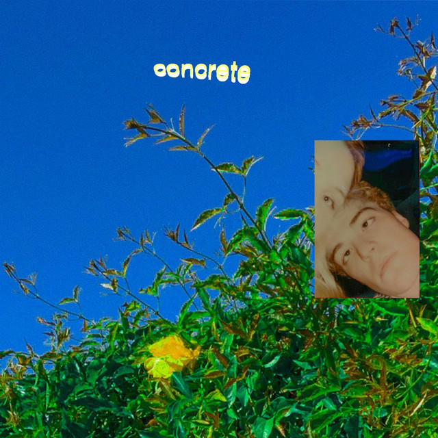 Concrete cover