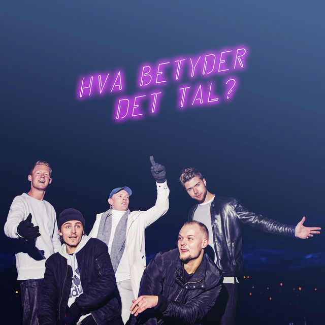 Hva Betyder Det Tal? cover art