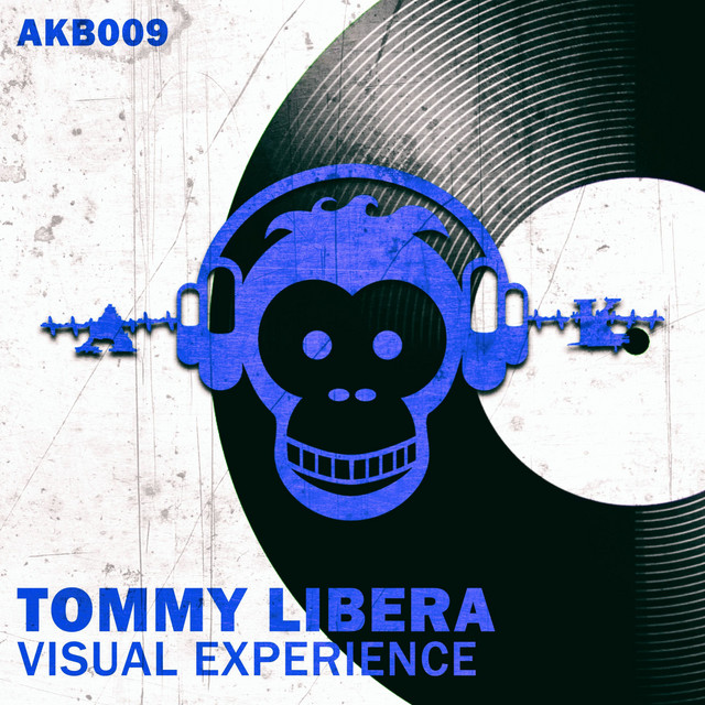 Visual Experience album art